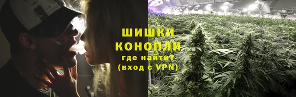 spice Аркадак