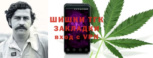 индика Армянск