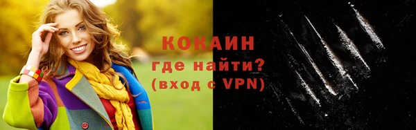 индика Армянск
