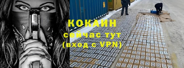 индика Армянск