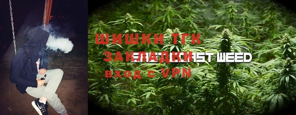 spice Аркадак