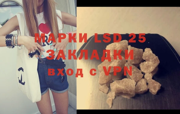 spice Аркадак