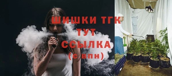 индика Армянск